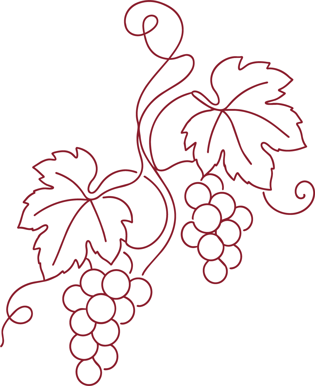 vignes